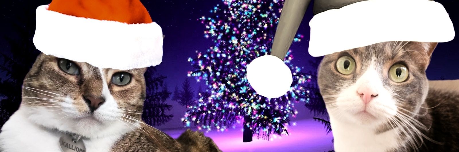 ZacharyShow's profile banner image
