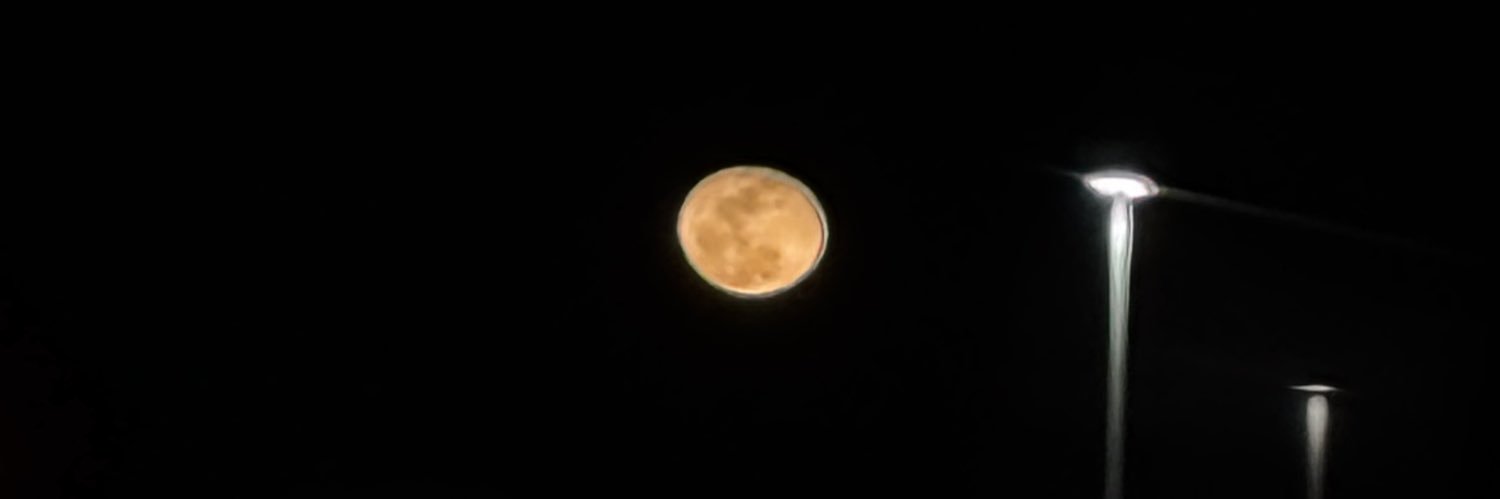 mdlstr86999's profile banner image