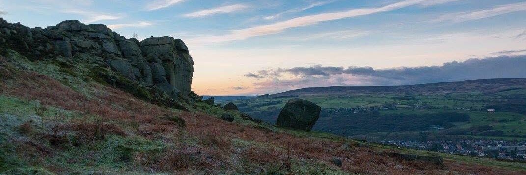 Sally Millar West 💙 banner