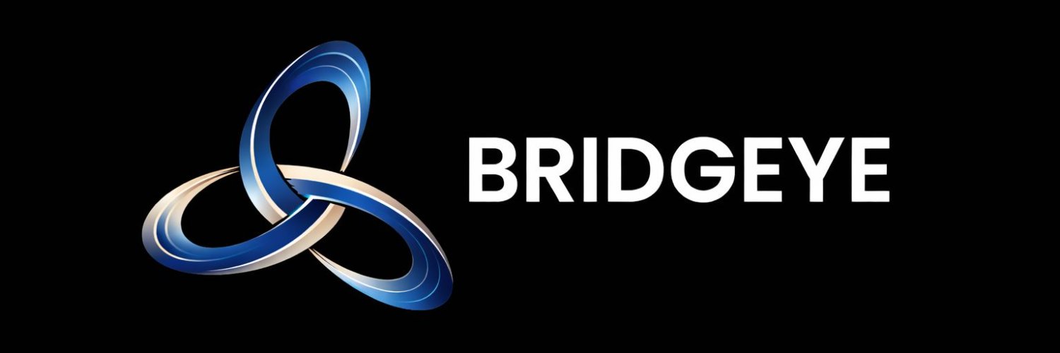 Bridgeye banner