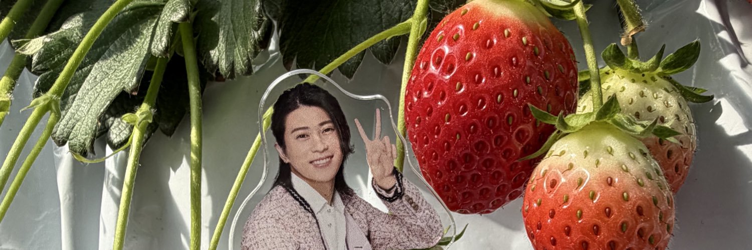 こたつのみかん banner