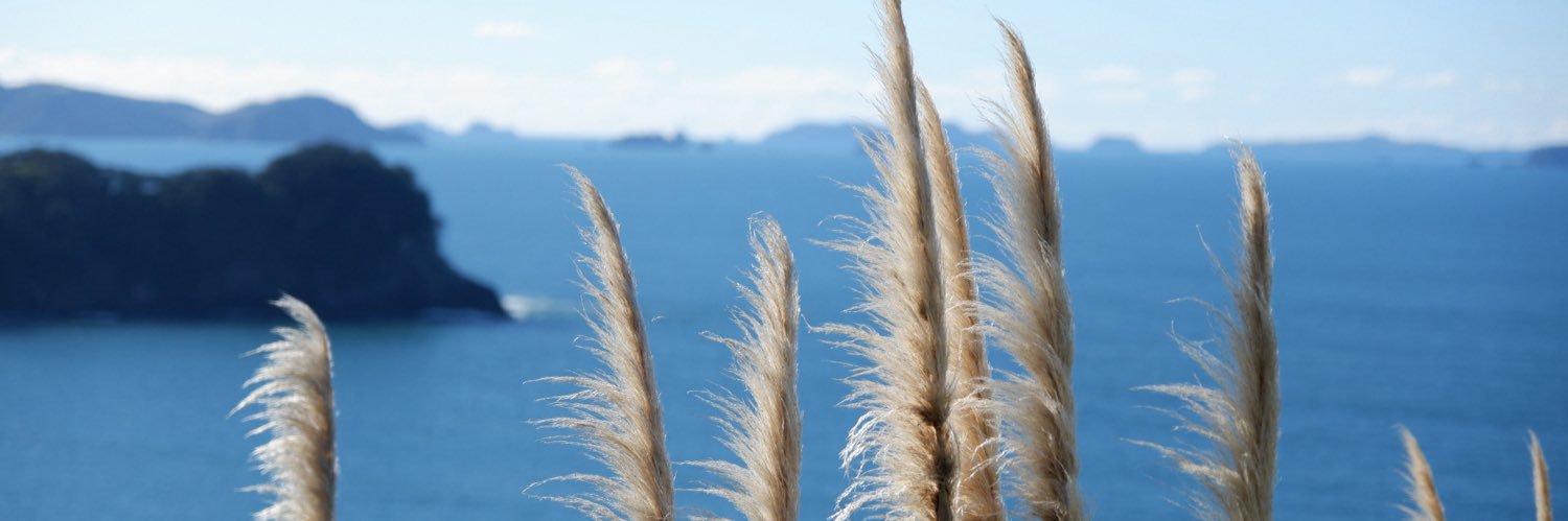 whatupNZ's profile banner image