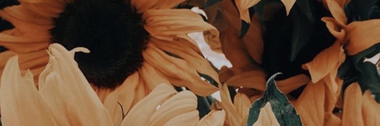 kaasweet's profile banner image