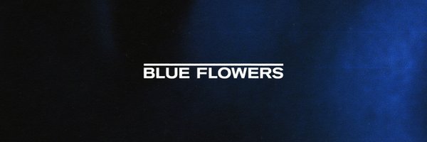 Blue Flowers Profile Banner