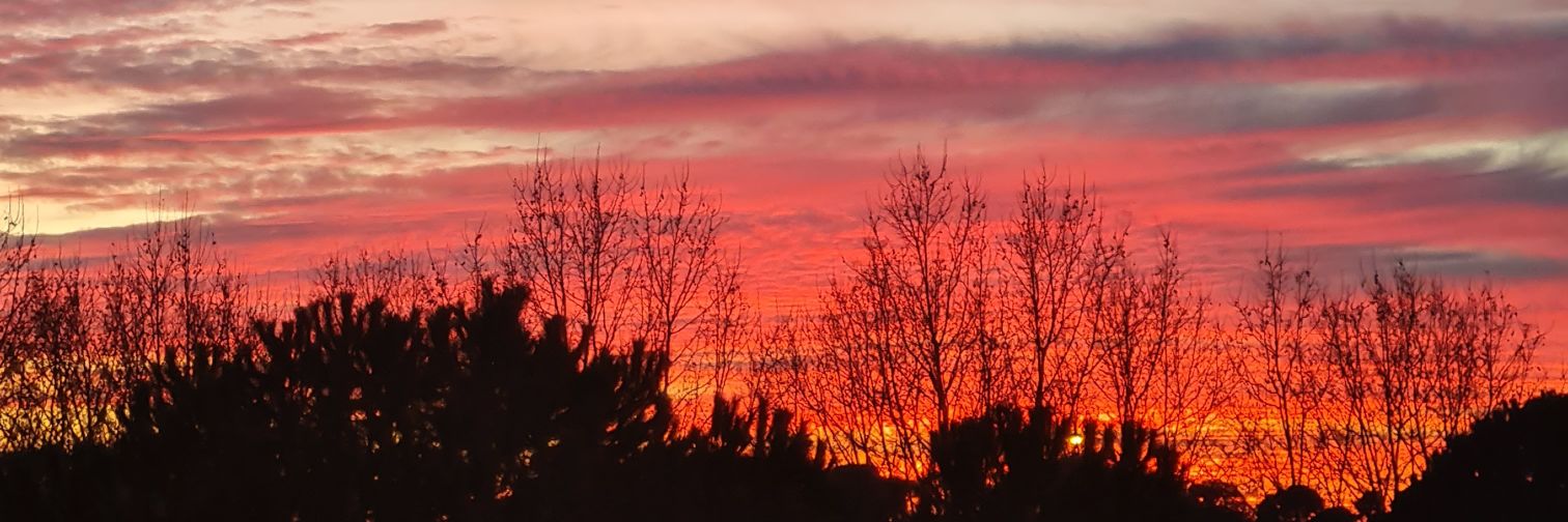 Amanda Marbles banner