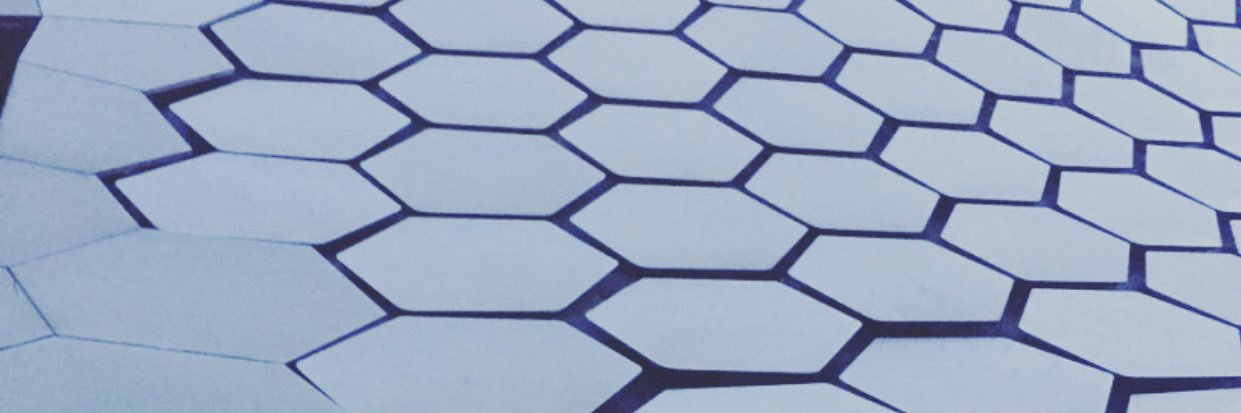 IlseOlmos's profile banner image