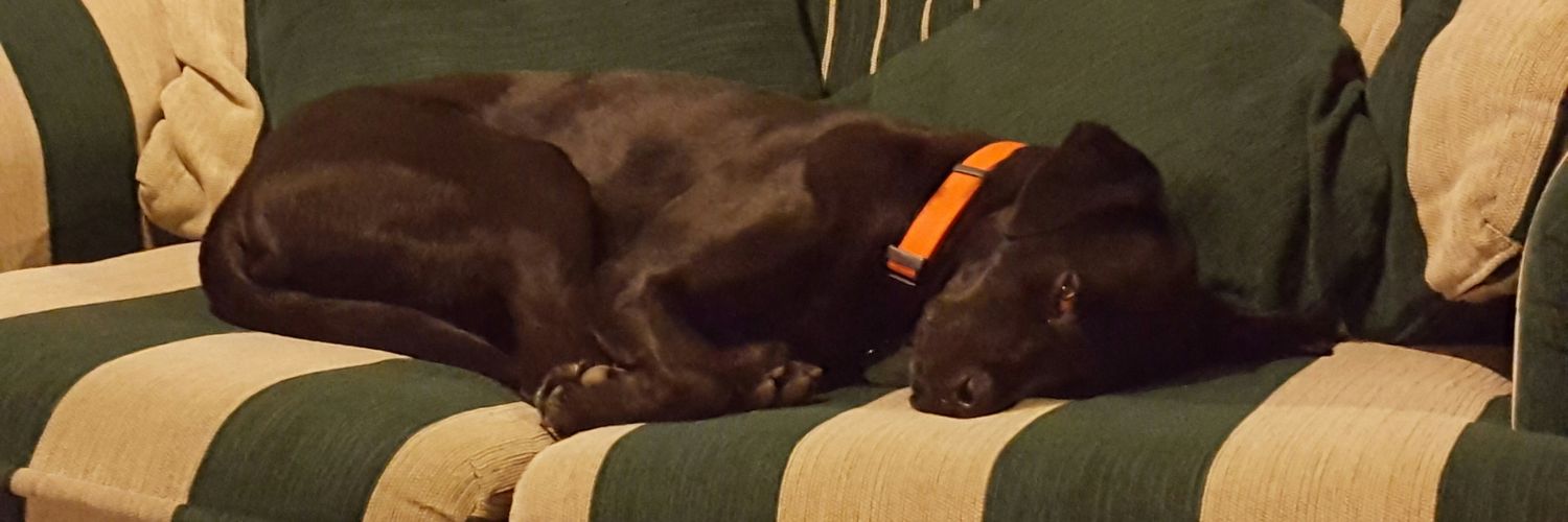 JSellers11's profile banner image