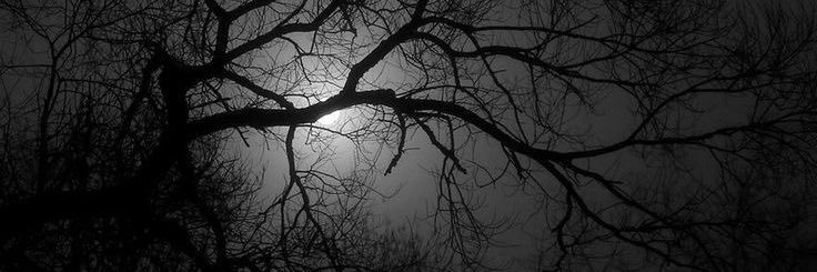 𝐍𝐨𝐜𝐭𝐮𝐫𝐧𝐞 banner