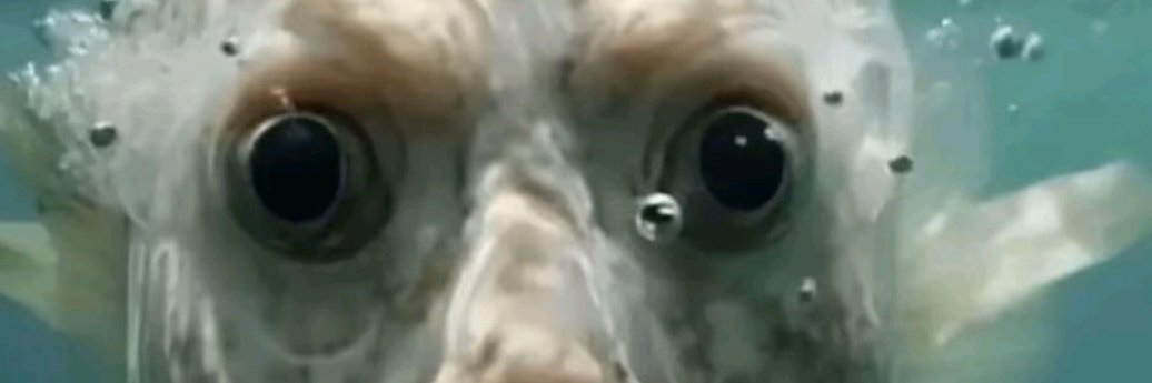 rhssuv's profile banner image