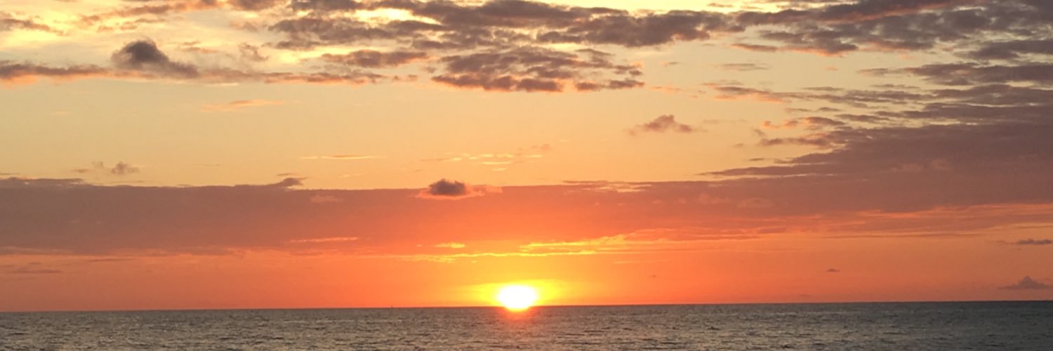 lindsayrogo's profile banner image
