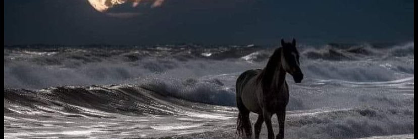 bsyr_hs's profile banner image
