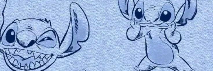 r banner