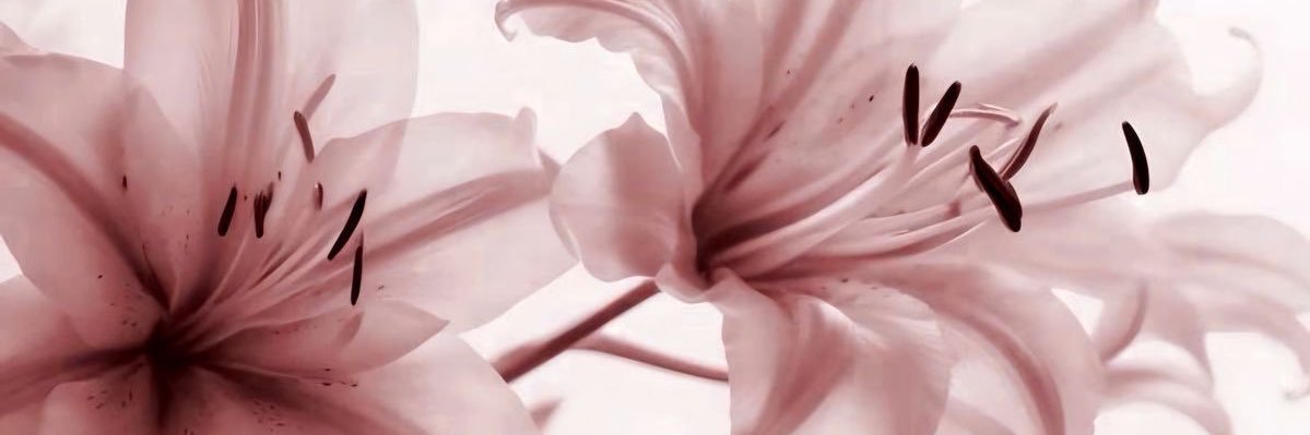 fawn banner