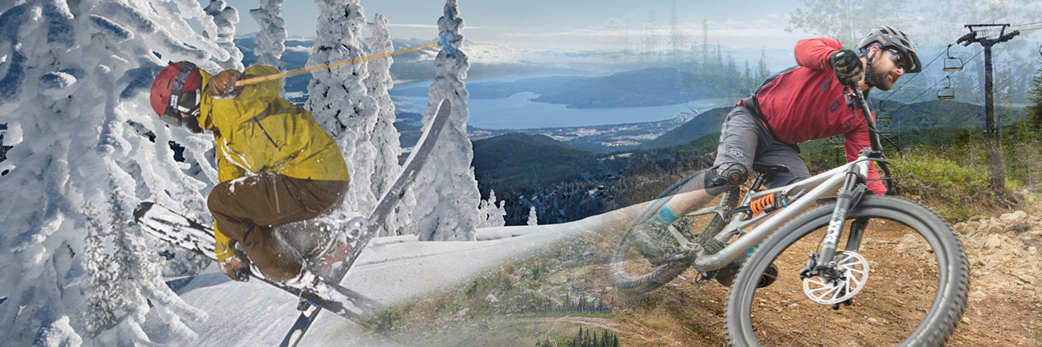 SchweitzerID's profile banner image