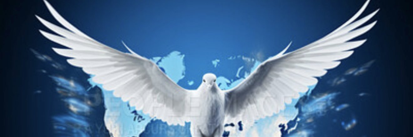 𝓐𝓯𝓯𝓾 ✨ | World Diary 🌍 banner