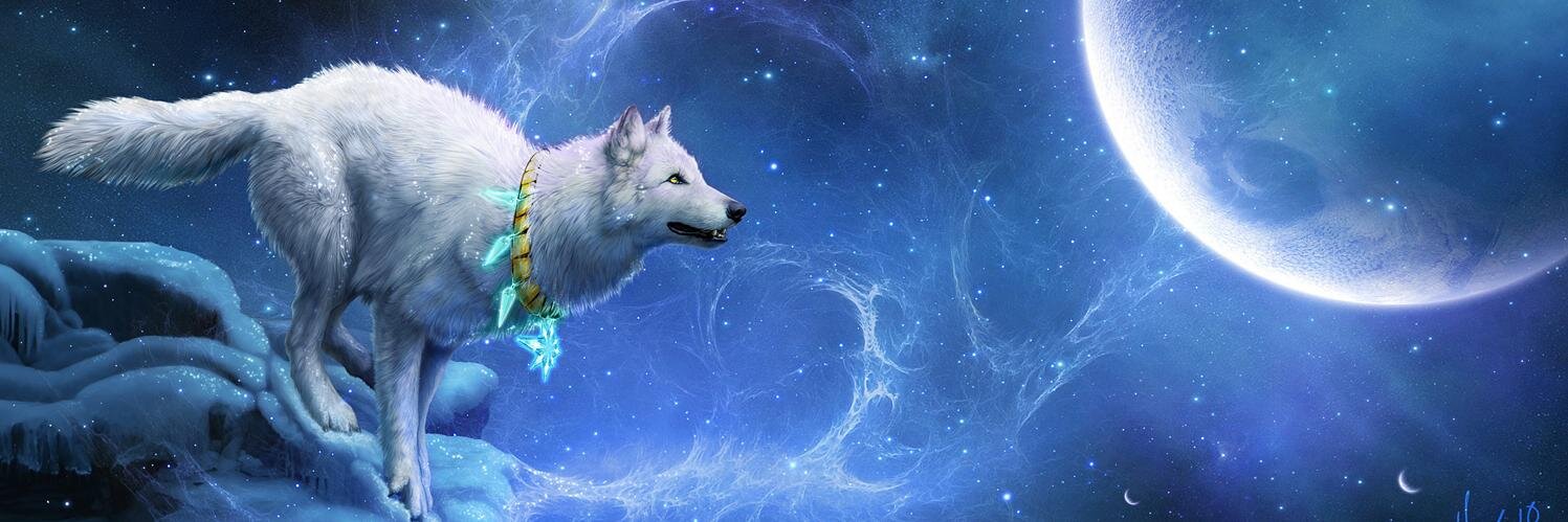 JCat69's profile banner image