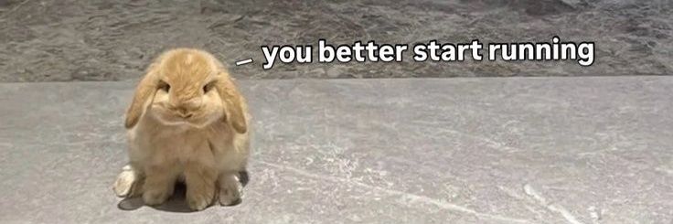 putao nb 🏳️‍⚧️ banner