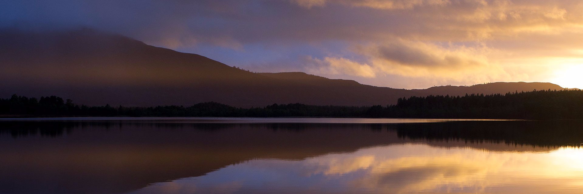 ebirder's profile banner image