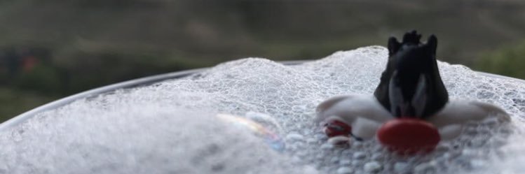 warolus_'s profile banner image