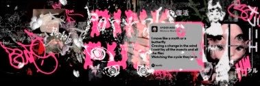 Qarin's profile banner image