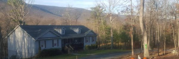 bugfarm Profile Banner