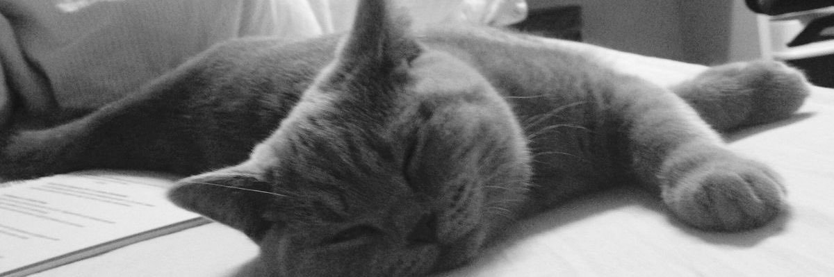 izzy₂₀ ⋆˚꩜｡🐝 banner
