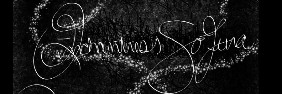 𝔖ᴏ𝔉iirล 𓂀⧽ banner