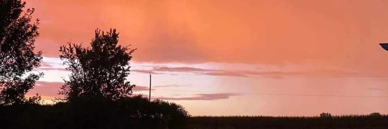 samyysilva's profile banner image