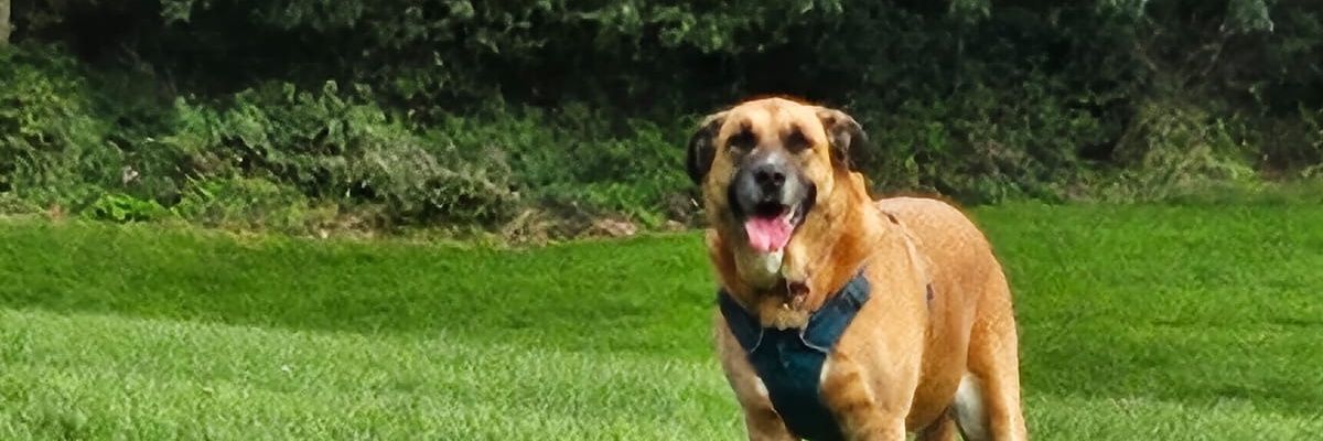 rcole134's profile banner image