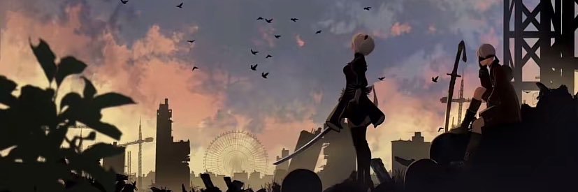 w banner