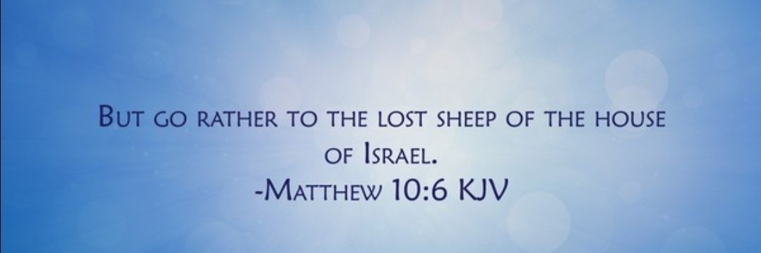 Lost Sheep banner