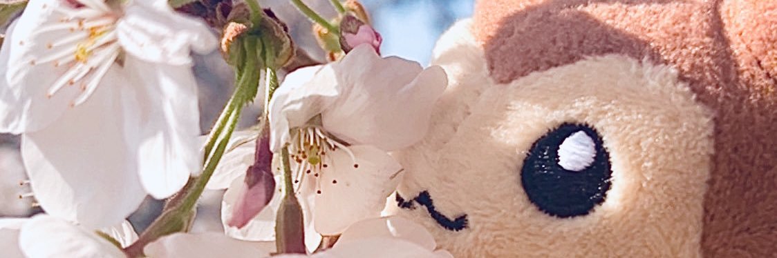 삭감 banner