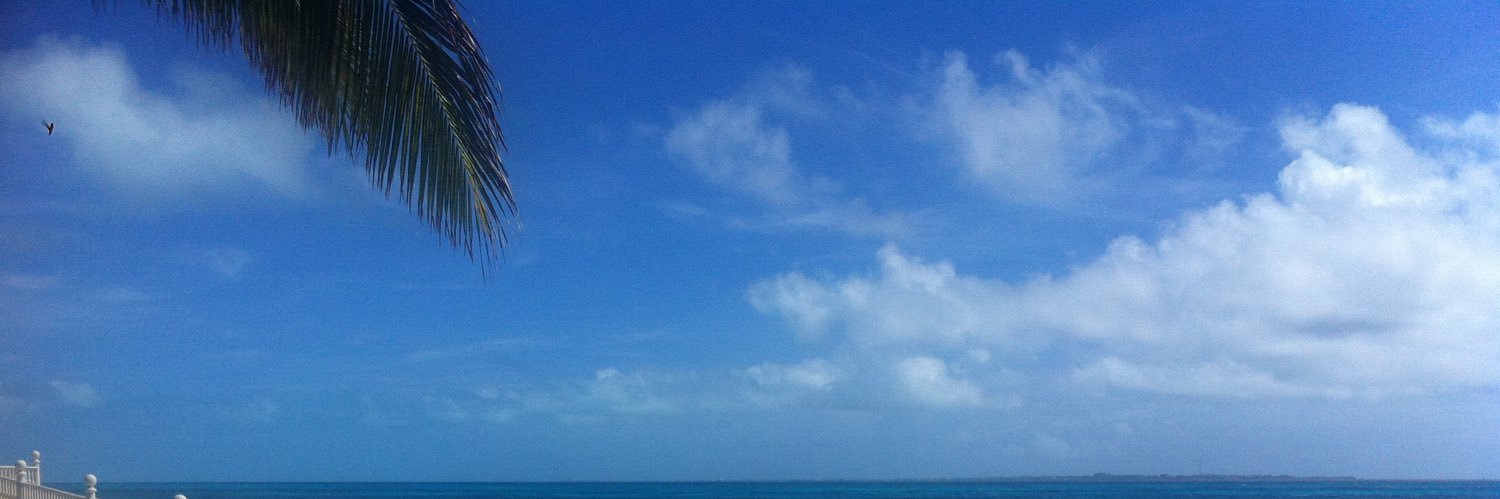 GeorgeBanter's profile banner image