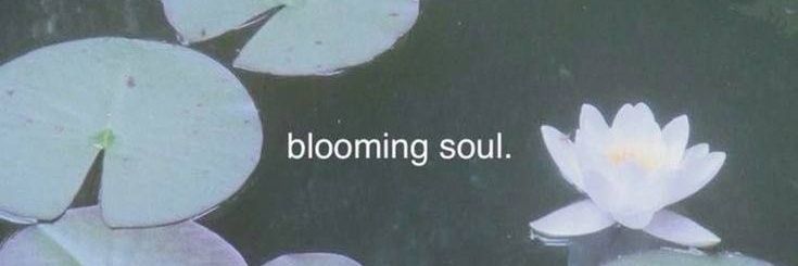 고기 banner
