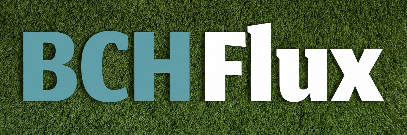 BCHFlux banner