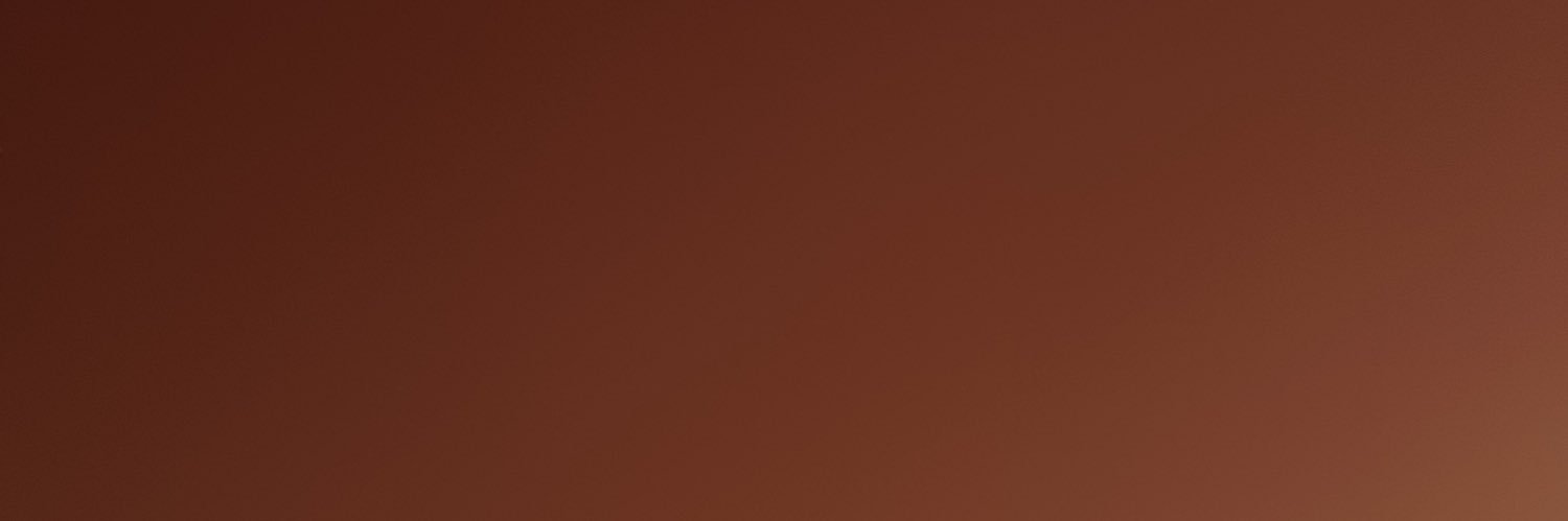 Rail Bravo banner