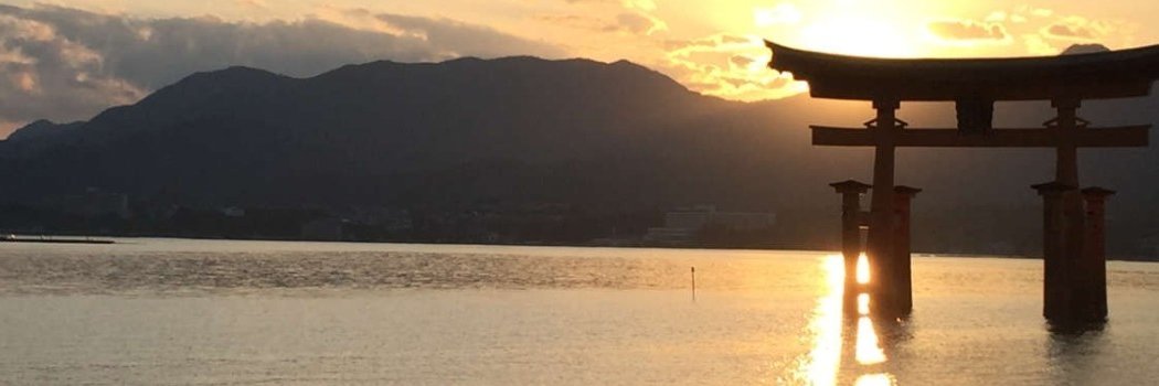 hdlevy's profile banner image