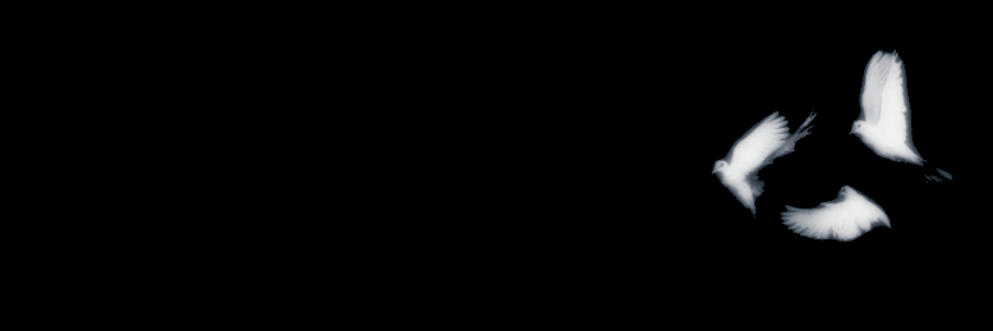 ˖ ⟢ ℛ . ﹙劉﹚ banner