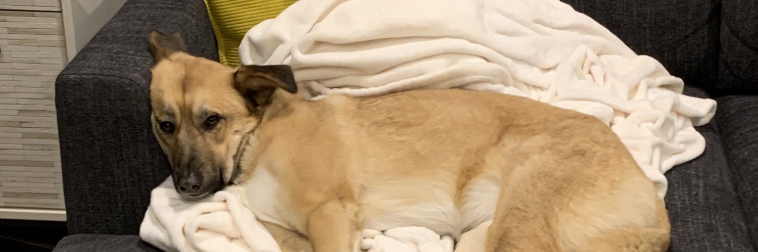 GordonMatthew10's profile banner image