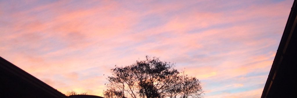 Gikvm's profile banner image