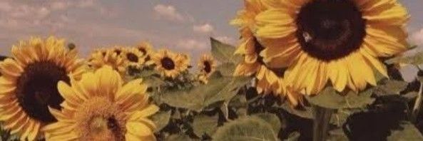 michi0803mellow's profile banner image