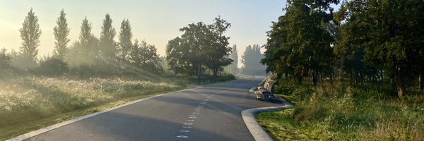 digilis Profile Banner