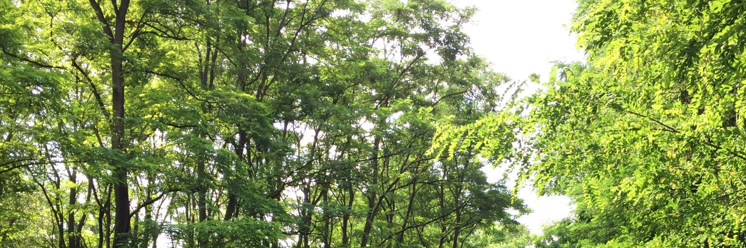 ericsturm's profile banner image