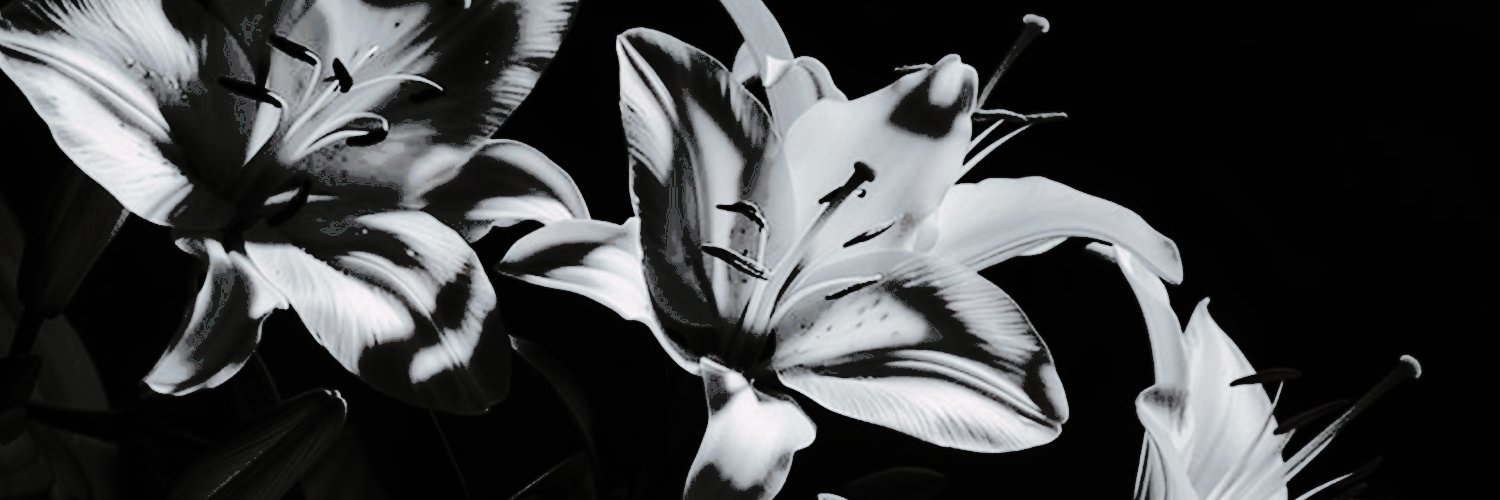 妃月、ℳahiru. banner