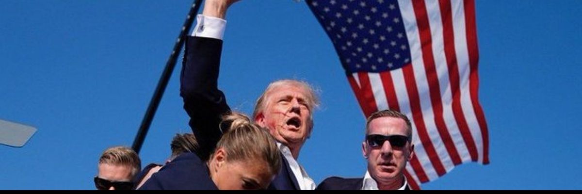 Swan_blu2's profile banner image