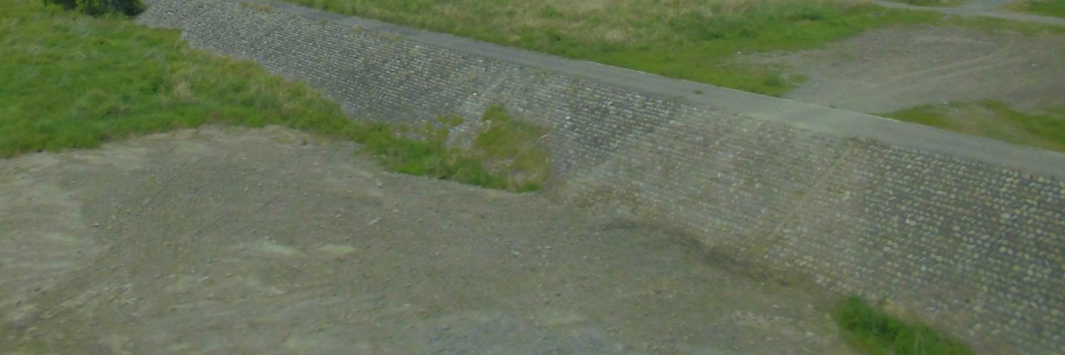 Spina_Spinel's profile banner image
