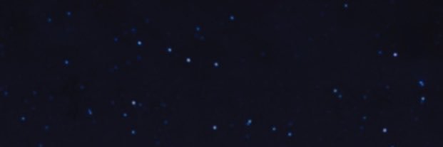 meltie0's profile banner image