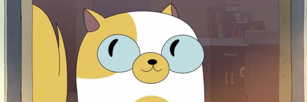 Cat banner