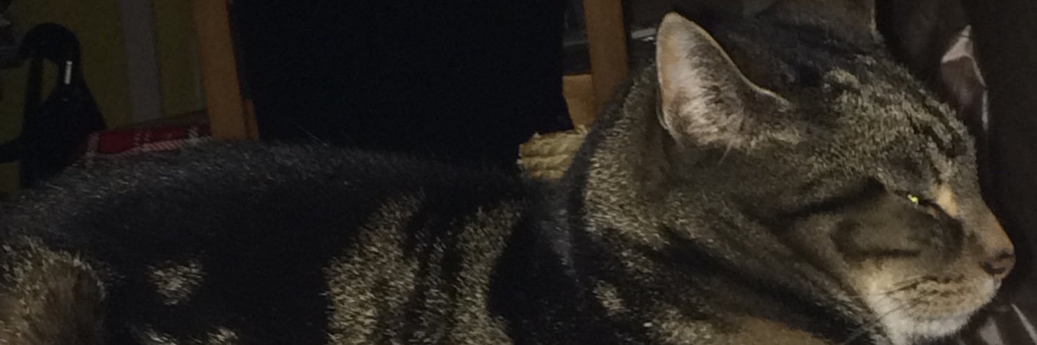shaztaylor71's profile banner image
