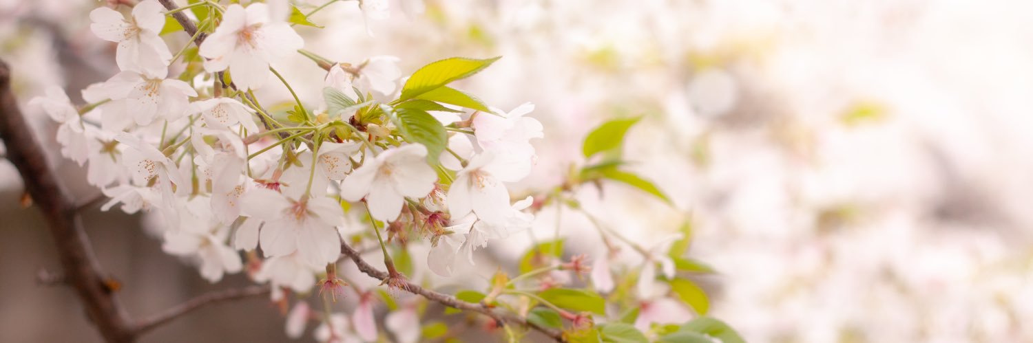 cos_I_27's profile banner image